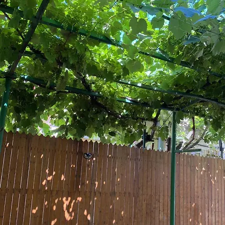 Marsali Homestay Constanta