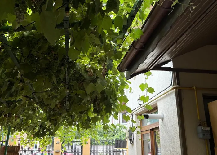 Marsali ホームステイ *