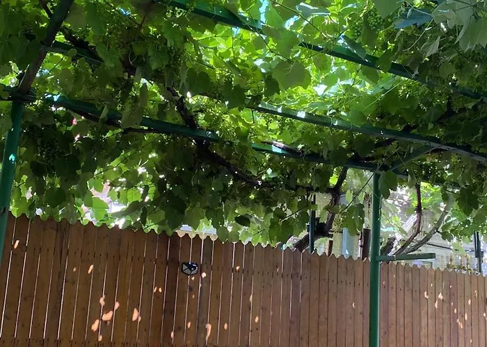 Marsali Ubytování v soukromí Constanţa